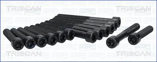 Handler.Part Bolt kit, cylinder head TRISCAN 985013 1