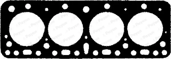 Handler.Part Gasket, cylinder head PAYEN BF110 1