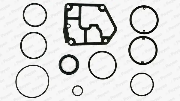 Handler.Part Gasket set, crank case PAYEN EF5380 1