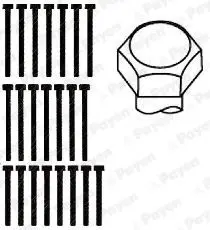 Handler.Part Bolt kit, cylinder head PAYEN HBS015 2