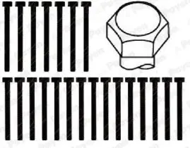 Handler.Part Bolt kit, cylinder head PAYEN HBS016 2