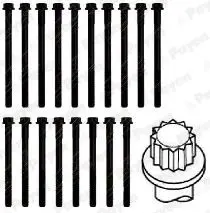 Handler.Part Bolt kit, cylinder head PAYEN HBS042 2