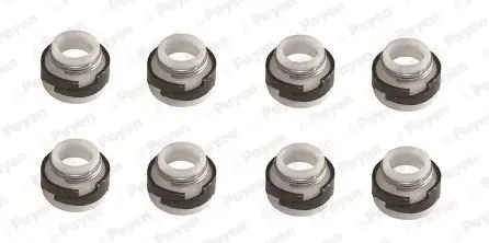 Handler.Part Seal set, valve stem PAYEN HR643 1