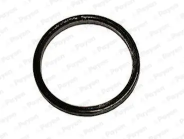 Handler.Part Gasket, exhaust pipe PAYEN JE017 1