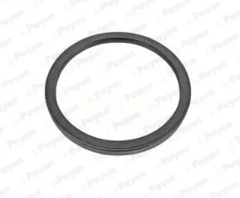 Handler.Part Shaft seal, crankshaft PAYEN NA5463 1