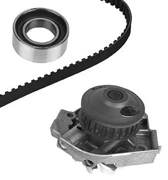 Handler.Part Water pump & timing belt set METELLI 3007391 1