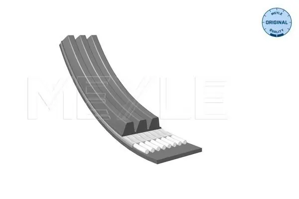 Handler.Part V-ribbed belts Meyle 0500030905 2