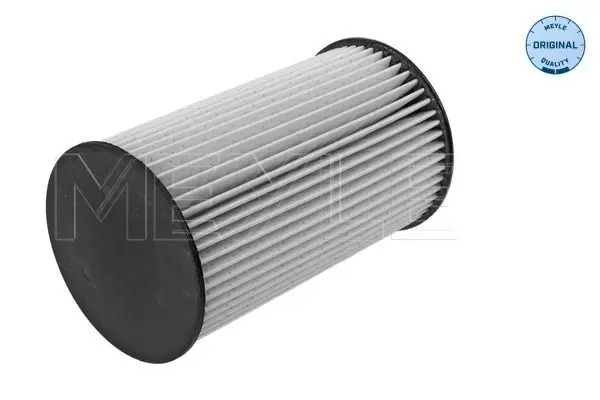 Handler.Part Fuel filter Meyle 1003230028 2