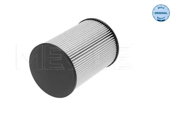 Handler.Part Fuel filter Meyle 1003230005 2