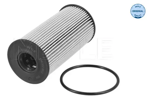 Handler.Part Oil filter Meyle 6143220013 1