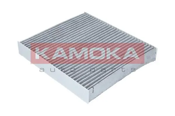 Handler.Part Filter, interior air KAMOKA F503801 2