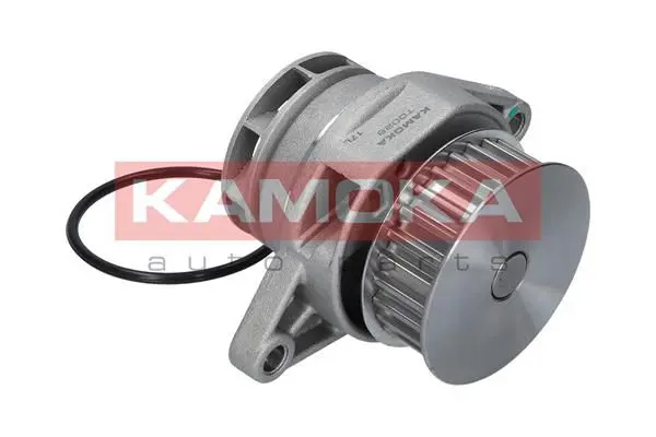 Handler.Part Water pump KAMOKA T0026 3