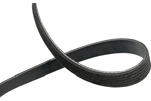 Handler.Part V-ribbed belts KAVO PARTS DMV2025 1