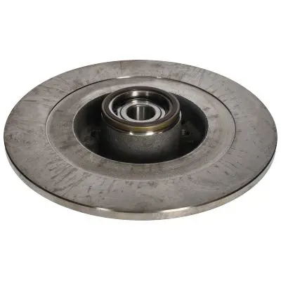 Handler.Part Brake disc BIRTH 3411 1