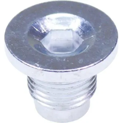 Handler.Part Sealing plug, oil sump BIRTH 80113 1