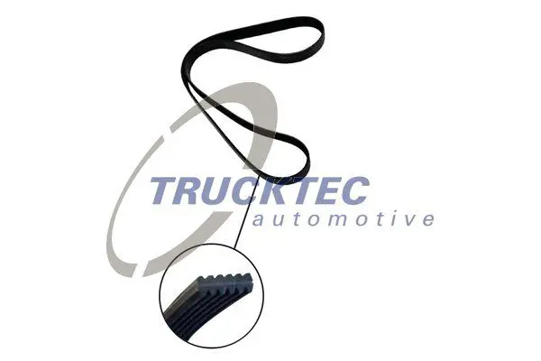 Handler.Part V-ribbed belts TRUCKTEC AUTOMOTIVE 0719273 1