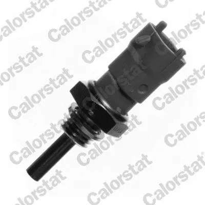 Handler.Part Sensor, coolant temperature VERNET WS2598 1