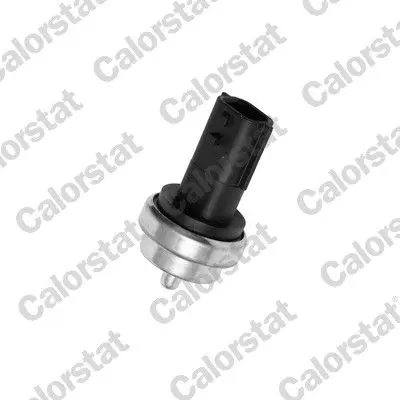 Handler.Part Sensor, coolant temperature VERNET WS3019 1