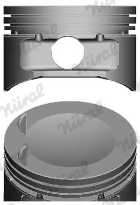 Handler.Part Piston NURAL 8730680020 1