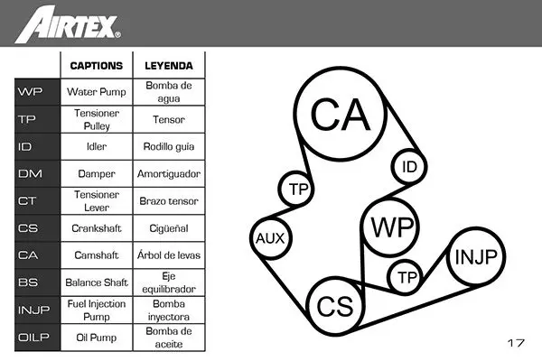 Handler.Part Water pump & timing belt set AIRTEX WPK143503 2