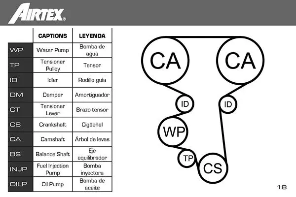 Handler.Part Water pump & timing belt set AIRTEX WPK169601 2