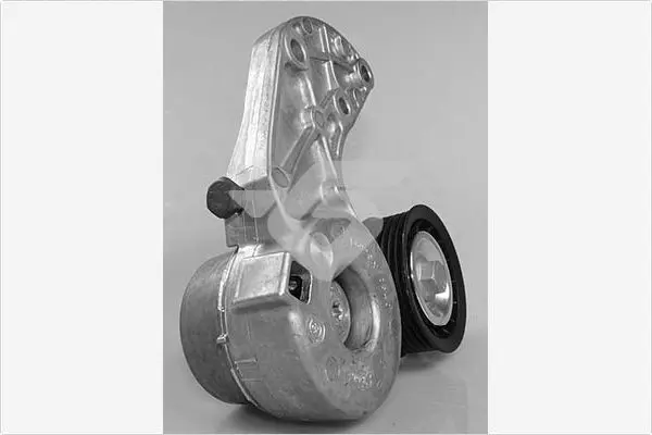 Handler.Part Tensioner pulley, v-ribbed belt HUTCHINSON T0650 1