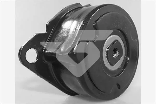 Handler.Part Tensioner pulley, v-ribbed belt HUTCHINSON T0676 1