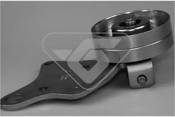 Handler.Part Tensioner pulley, v-ribbed belt HUTCHINSON T0290 1