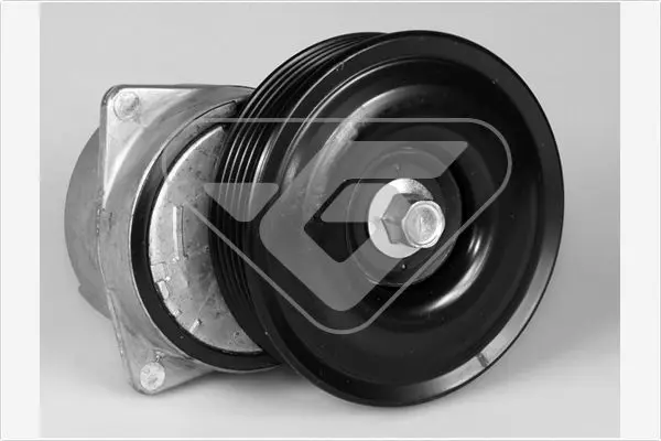 Handler.Part Tensioner pulley, v-ribbed belt HUTCHINSON T0312 1