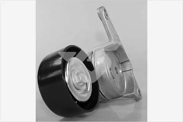 Handler.Part Tensioner pulley, v-ribbed belt HUTCHINSON T0473 1