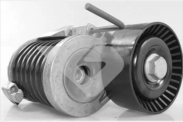 Handler.Part Tensioner pulley, v-ribbed belt HUTCHINSON T0686 1