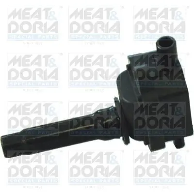 Handler.Part Ignition coil MEAT & DORIA 10536 1