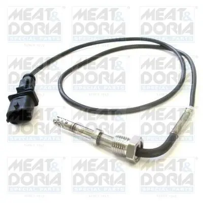 Handler.Part Sensor, exhaust gas temperature MEAT & DORIA 12012 1