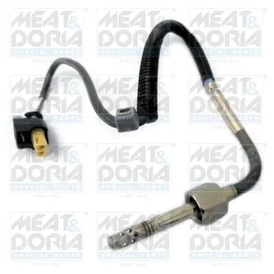 Handler.Part Sensor, exhaust gas temperature MEAT & DORIA 11981 1