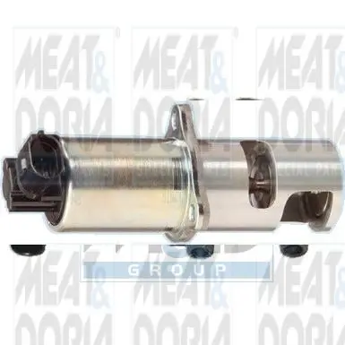 Handler.Part Egr valve MEAT & DORIA 88012R 1