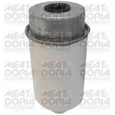 Handler.Part Fuel filter MEAT & DORIA 5062 1