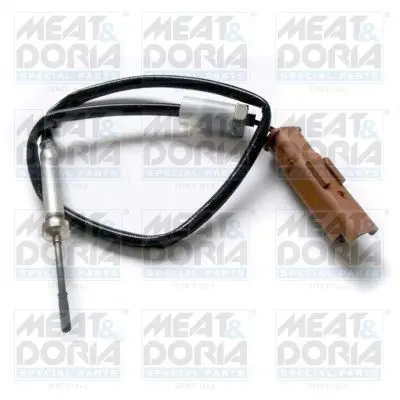 Handler.Part Sensor, exhaust gas temperature MEAT & DORIA 12169 1