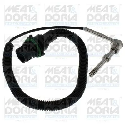 Handler.Part Sensor, exhaust gas temperature MEAT & DORIA 12370 1