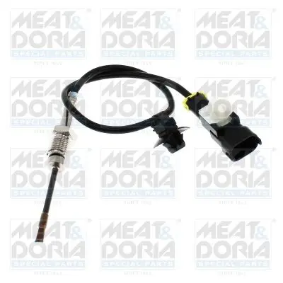 Handler.Part Sensor, exhaust gas temperature MEAT & DORIA 12015 1