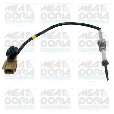 Handler.Part Sensor, exhaust gas temperature MEAT & DORIA 12069 1