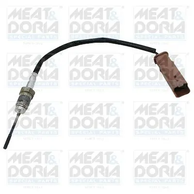 Handler.Part Sensor, exhaust gas temperature MEAT & DORIA 12168 1