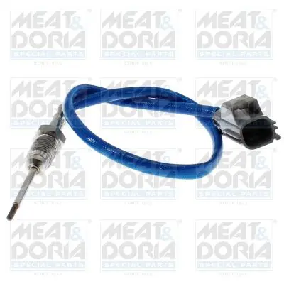 Handler.Part Sensor, exhaust gas temperature MEAT & DORIA 12036 1