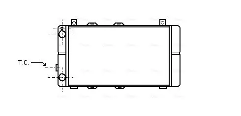 Handler.Part Radiator, engine cooling AVA WG2003 1