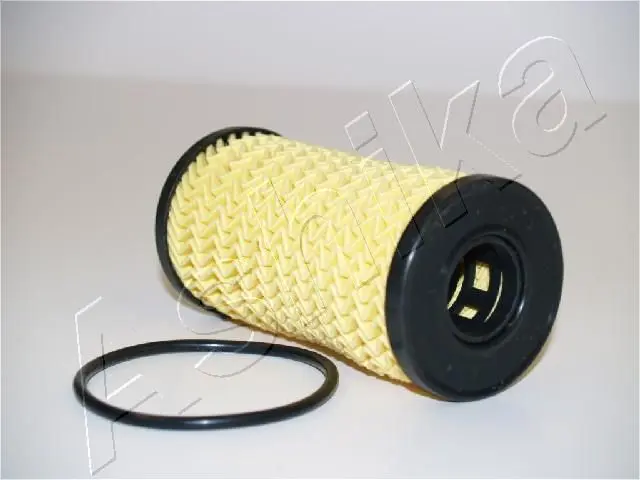 Handler.Part Oil filter ASHIKA 10ECO068 1