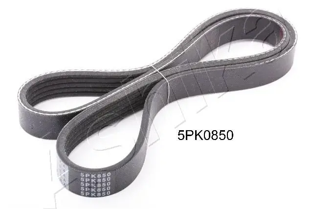 Handler.Part V-ribbed belts ASHIKA 1125PK850 1