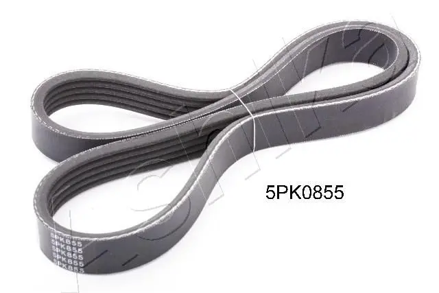 Handler.Part V-ribbed belts ASHIKA 1125PK855 1