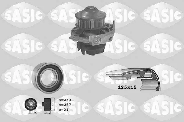 Handler.Part Water pump & timing belt set SASIC 3906018 1