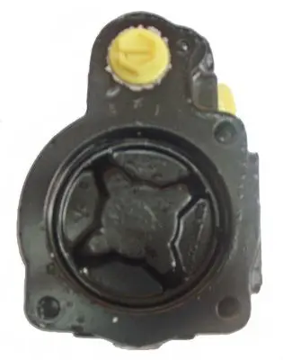 Handler.Part Hydraulic pump, steering system LIZARTE 04450212 2