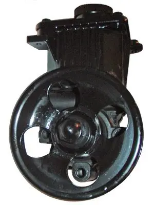 Handler.Part Hydraulic pump, steering system LIZARTE 047501041 3