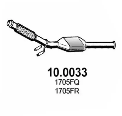 Handler.Part Catalytic converter ASSO 100033 1